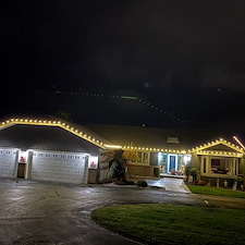 -Towering-Blue-Spruce-Tree-Wrap-Installation- 3